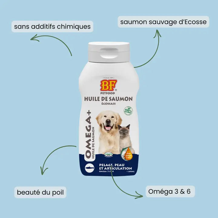 Huile de saumon pour chien et chat