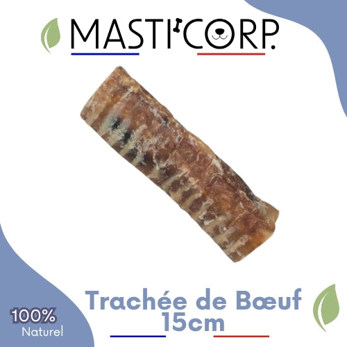 Trachée de Bœuf 15cm