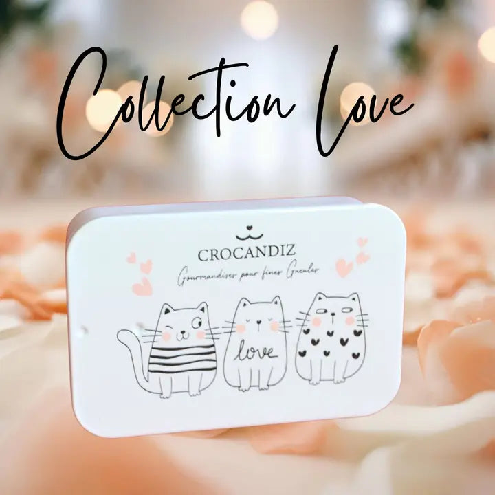 Biscuits pour chat , friandises pour chat