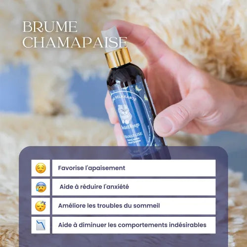 Brume relaxante Chamapaise