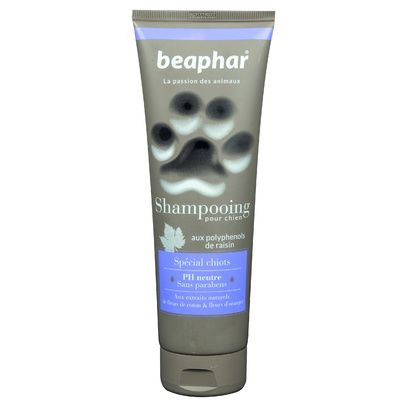 Shampooing premium chiots