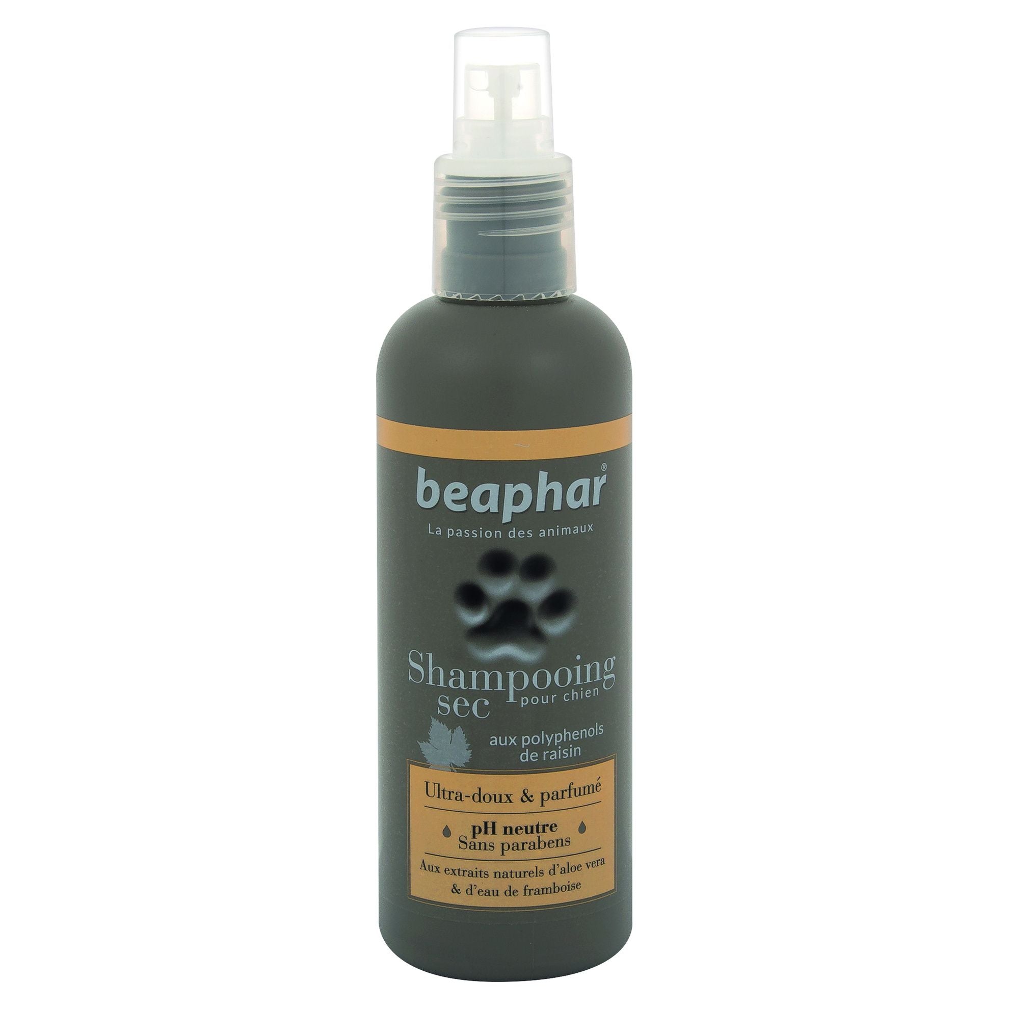 Spray Shampoing sec Premium