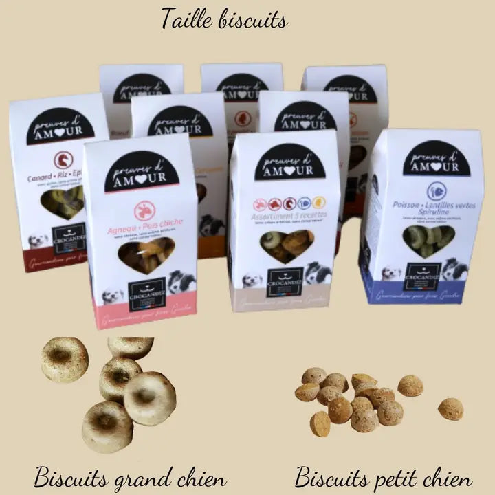 Biscuits pour chien , friandises chien, 5 recettes