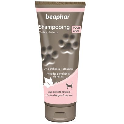 Shampooing chats et chatons