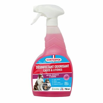 Saniterpen désinfectant