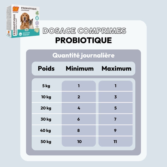 Probiotique comprimés pour chien et chat