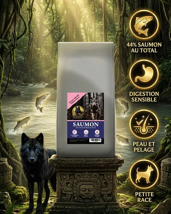 Croquettes Low Grain – Saumon avec Pomme de Terre – Chien Adulte Petite Race