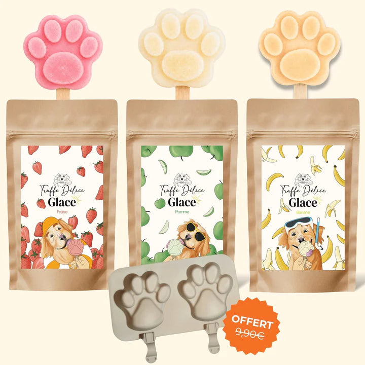 Coffret glaces pour chien