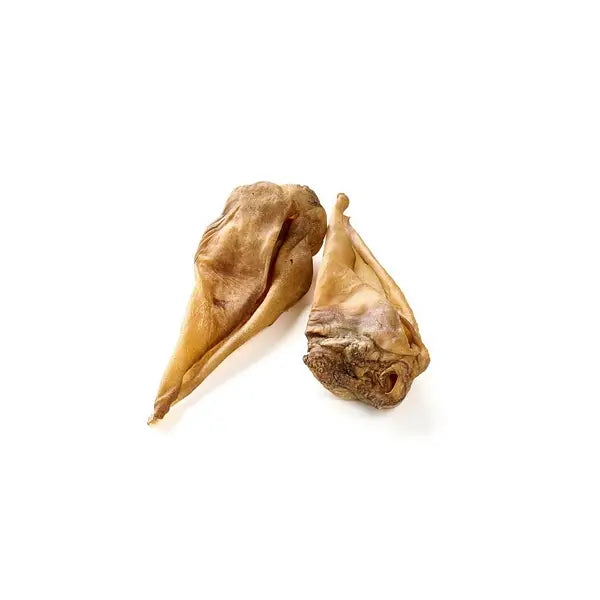 Oreille de cochon xxl 1 pièce