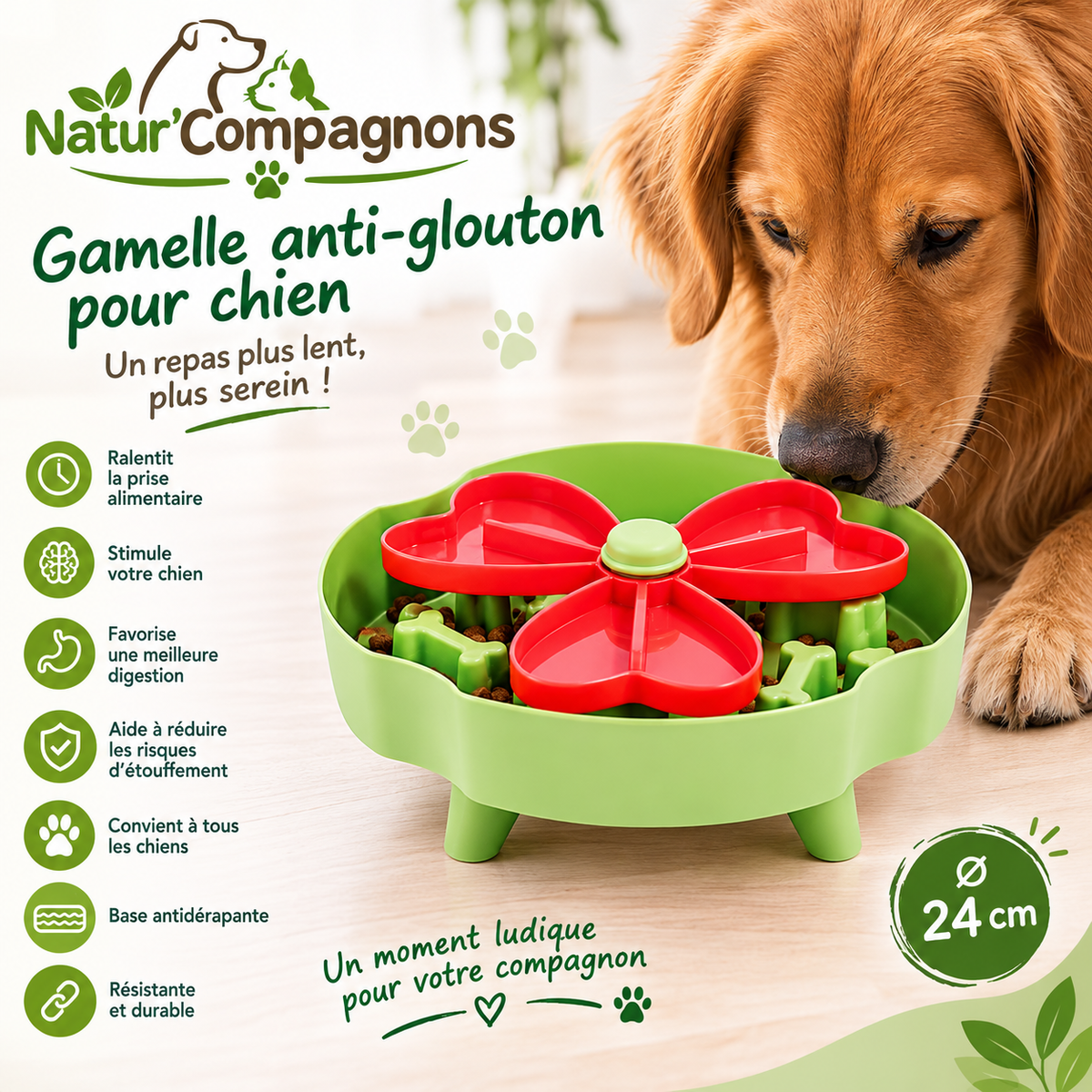Gamelle Anti-glouton