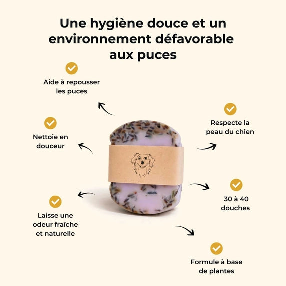 Shampoing anti-puce