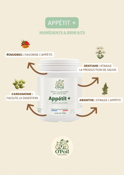 Appétit+