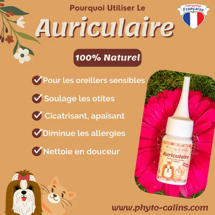 Nettoyant Auriculaire Plantes & Propolis 100% Naturel