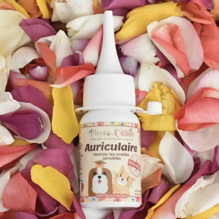 Nettoyant Auriculaire Plantes & Propolis 100% Naturel