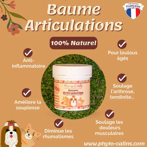 Anti-inflammatoire Baume 100% Phytothérapie