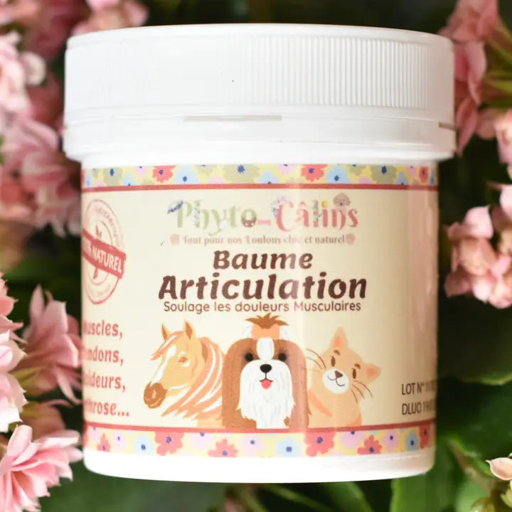 Anti-inflammatoire Baume 100% Phytothérapie