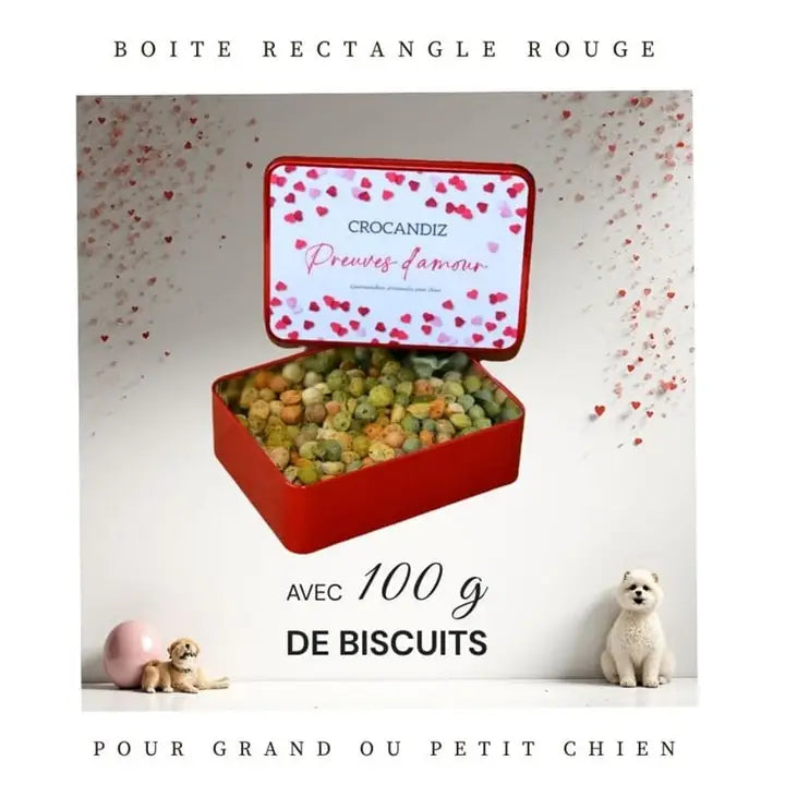 Biscuits naturels pour chien, friandises, cadeau chien