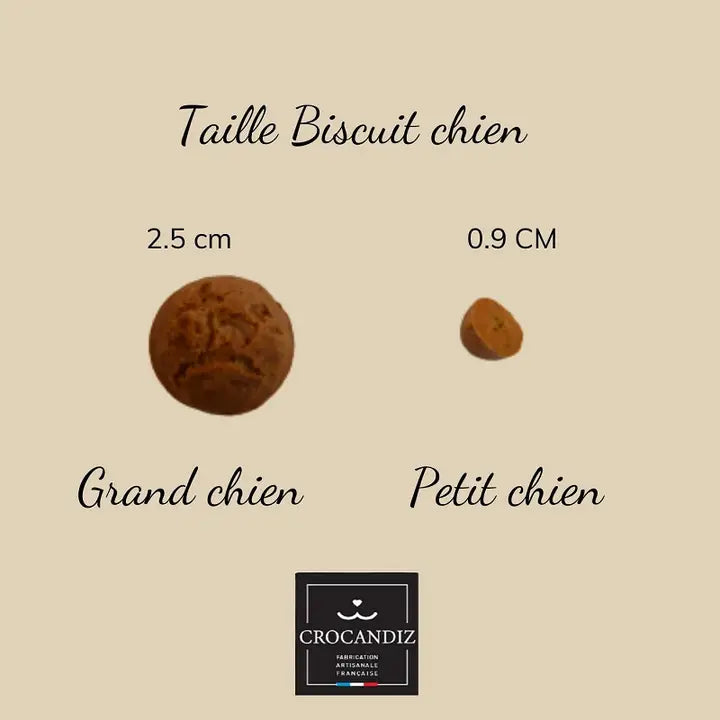 Biscuits naturels pour chien, friandises, cadeau chien
