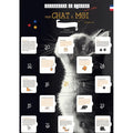 Calendrier de l'avant ou de l'après 25 jours avec son chat