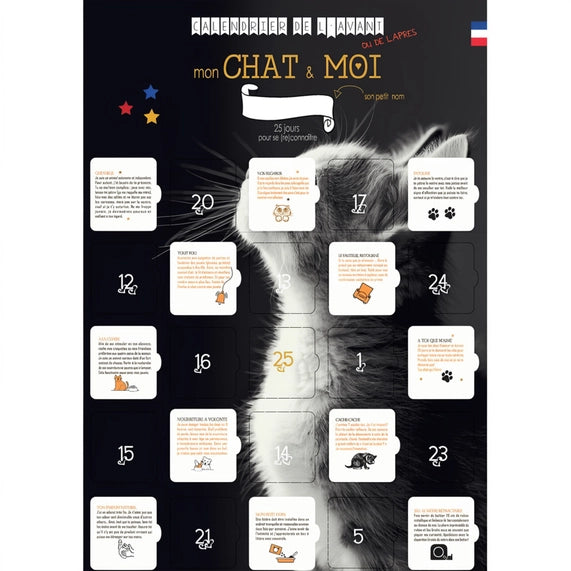 Calendrier de l'avant ou de l'après 25 jours avec son chat