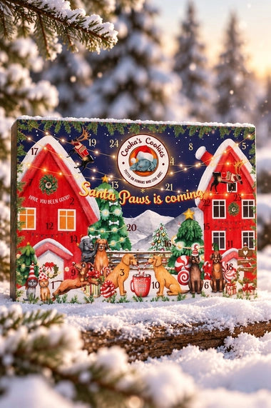 Calendrier de l'avant de Noël  chien