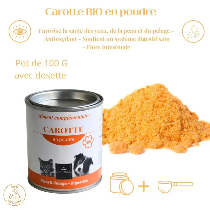 Carotte poudre bio