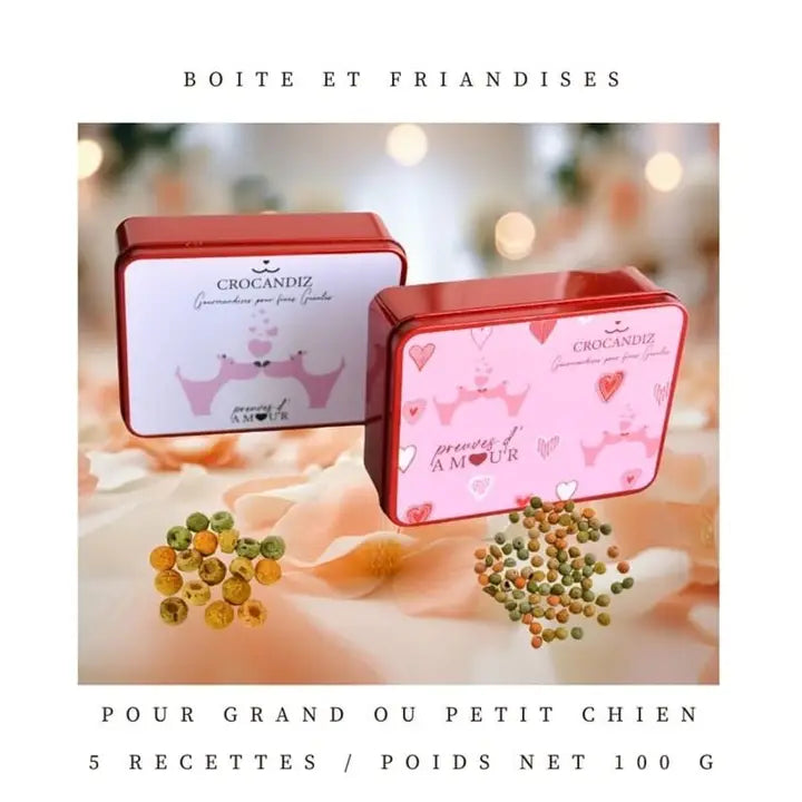 Biscuits naturels pour chien, friandises, cadeau chien