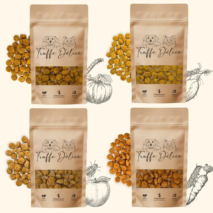 Coffret d'éducation insectes