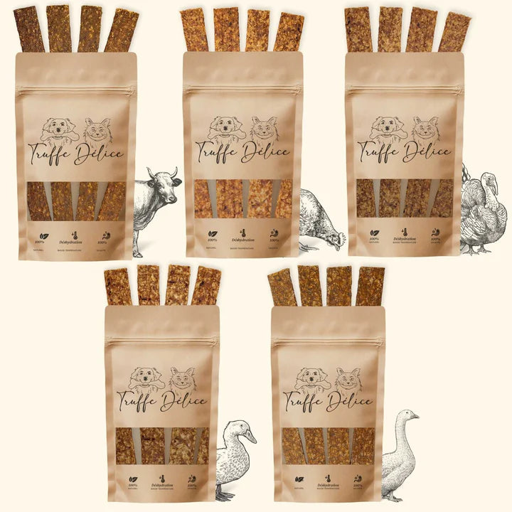 Coffret lamelles dentaires
