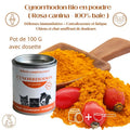 Poudre de cynorrhodon bio