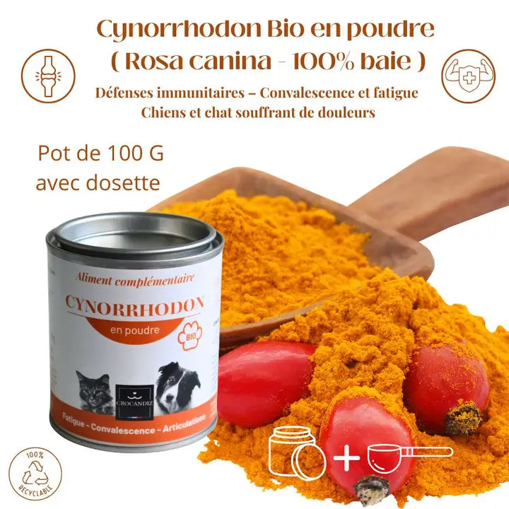 Poudre de cynorrhodon bio