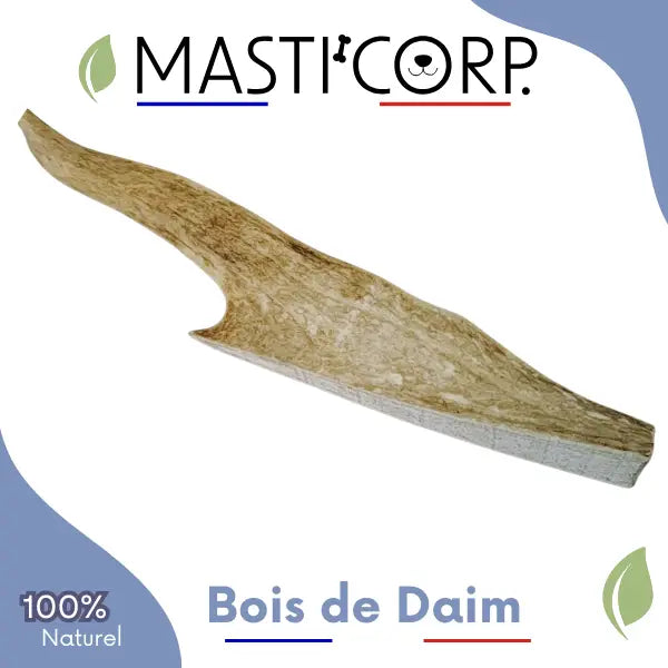Bois de daim  Mue Sauvage - Mastication Chien - Naturel