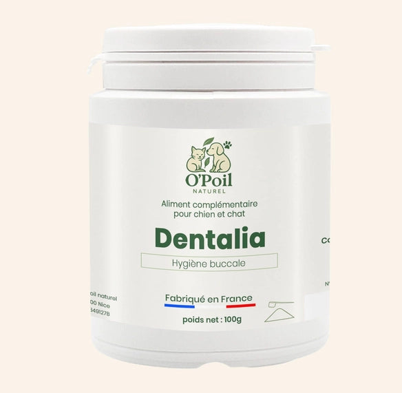 Dentalia