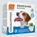 Comprimés hygiène dentaire pour chien