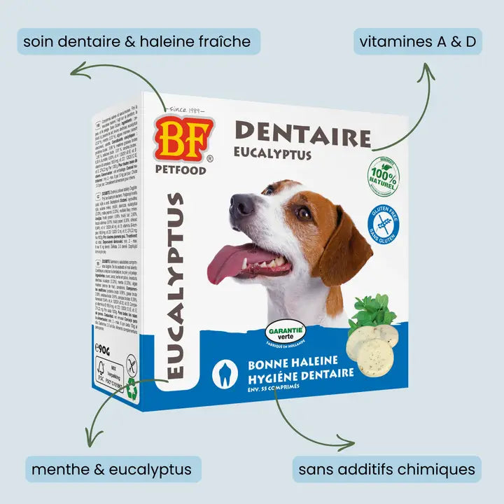 Comprimés hygiène dentaire pour chien