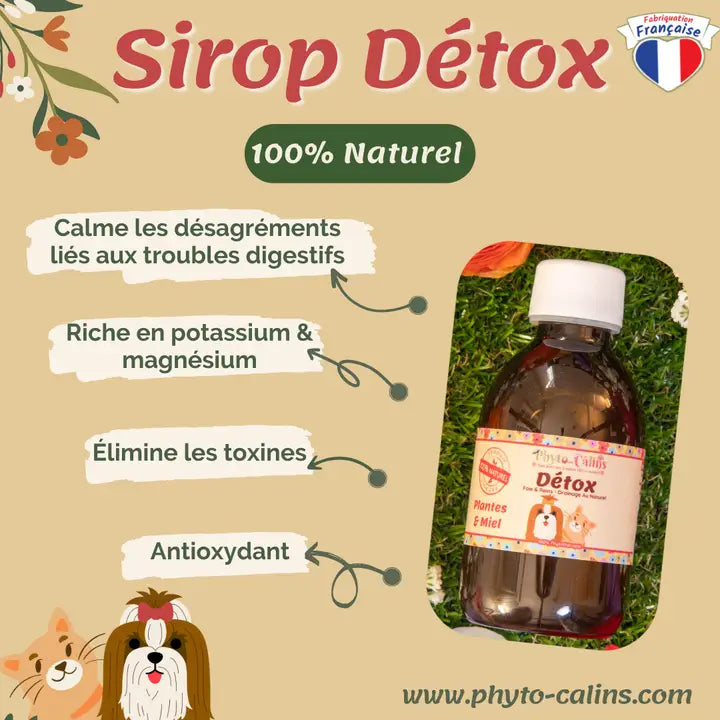 Détox Drainage Au Naturel / 100% Phytothérapie