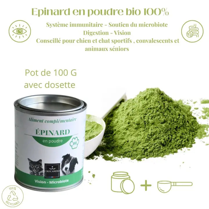 Epinard en poudre bio