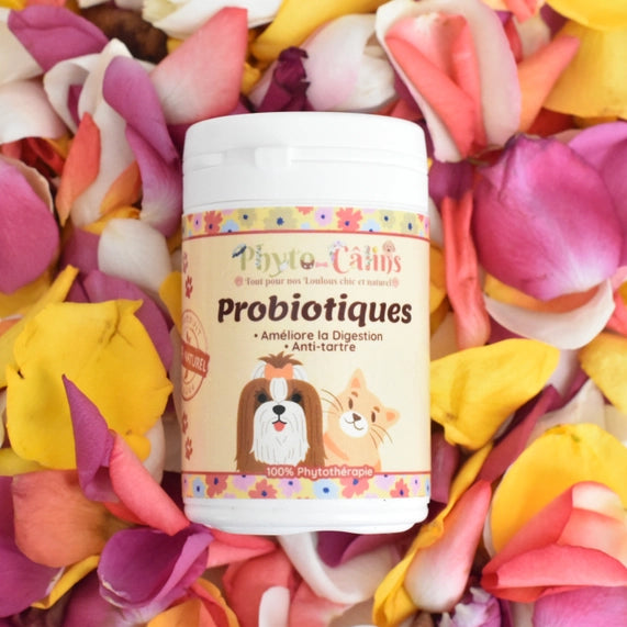 Probiotique / Soutien de la flore intestinal 100% naturel
