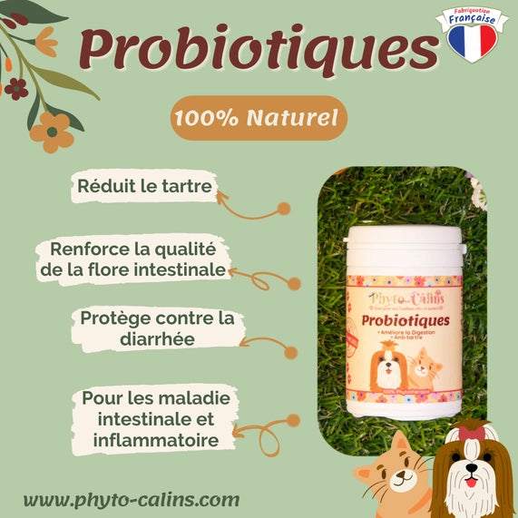 Probiotique / Soutien de la flore intestinal 100% naturel