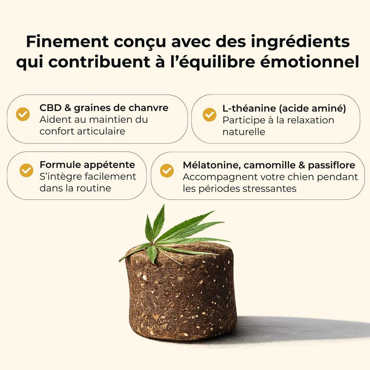 Friandise CBD chien