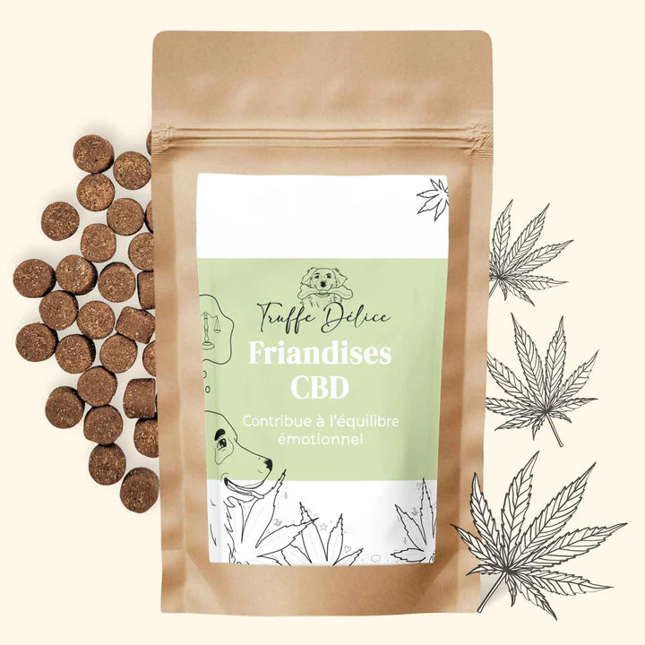 Friandise CBD chien