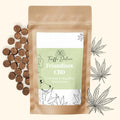 Friandise CBD chien
