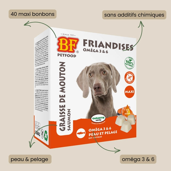 Bonbons au saumon peau et pelage pour chien