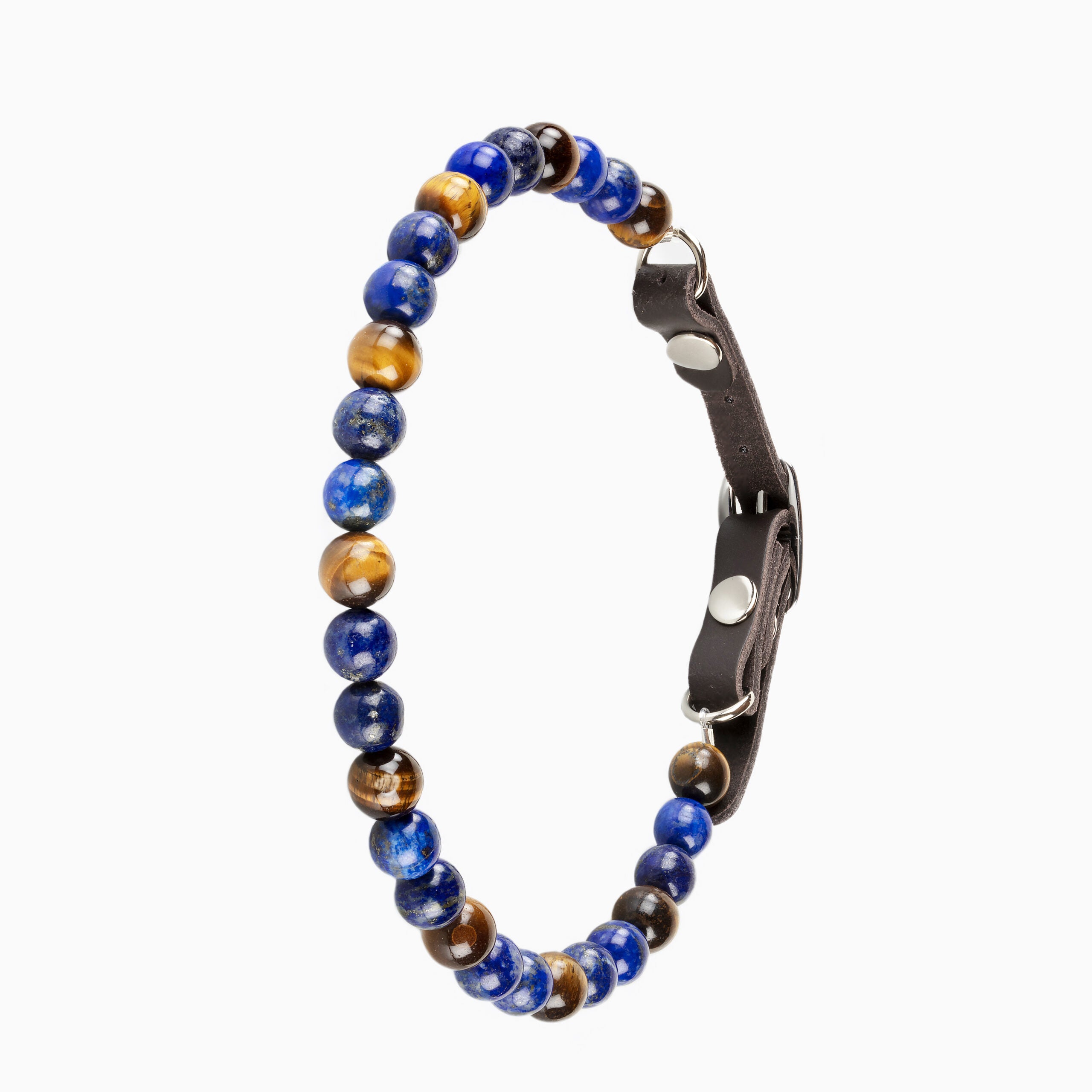 collier pour chien qui se gratte ou ce mordille