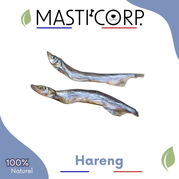 Hareng Sauvage 1kg