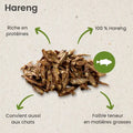 Harengs Séchés 500gr