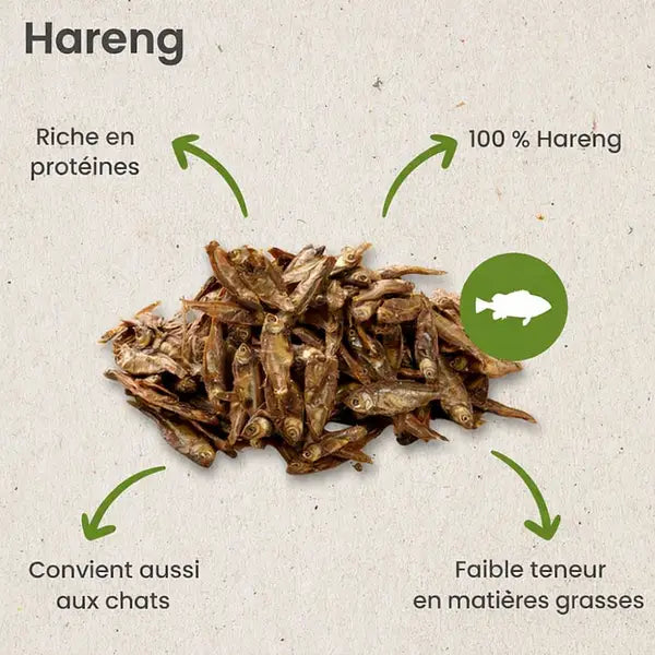 Harengs Séchés 500gr