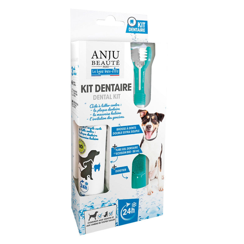 kit dentaire pour chien
