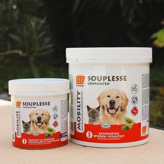 Herbes Souplesse articulaire pour chien et chat
