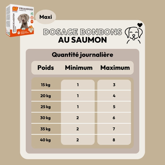 Bonbons au saumon peau et pelage pour chien
